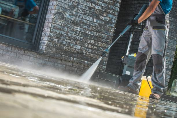 Animal Enclosure Cleaning in Water Mill, NY